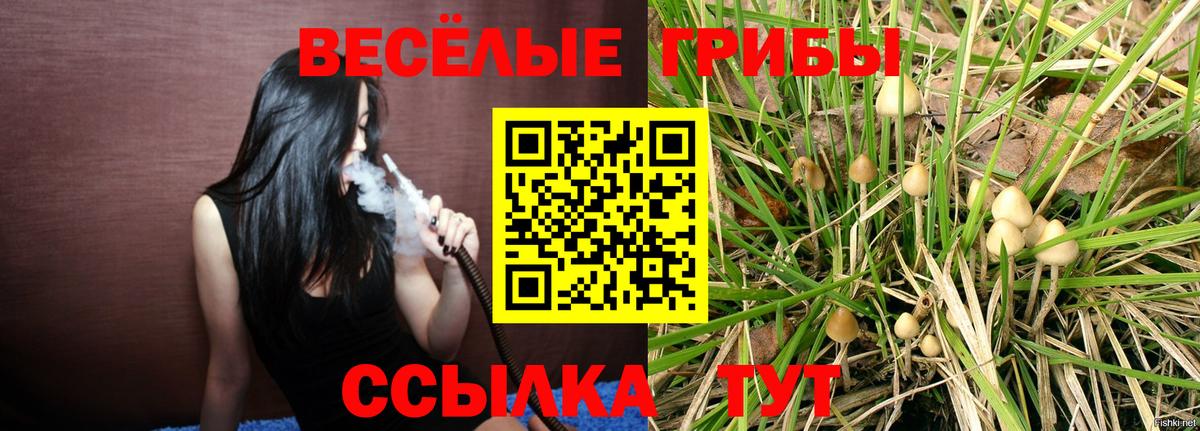 Псилоцибиновые грибы ЛСД  Вход с VPN  Набережные Челны  Галлюциногенные грибы мицелий 